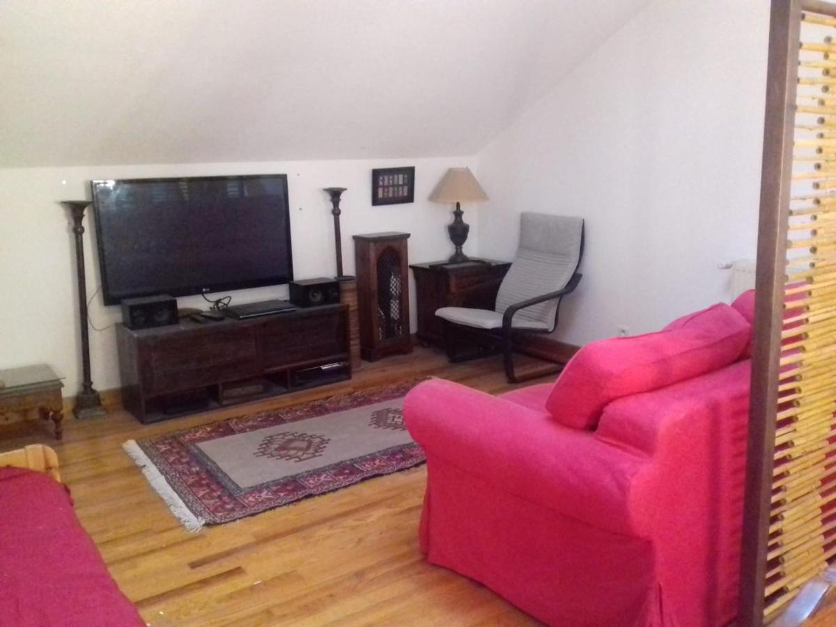 Appartement En Loft 50M2 Dans Maison Avec Chambre En Mezzanine Et Canapes Lits Dans Salon Сен-П'єрр-де-Шартрез Екстер'єр фото